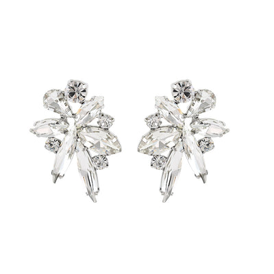 Amani Clear Crystal Earrings
