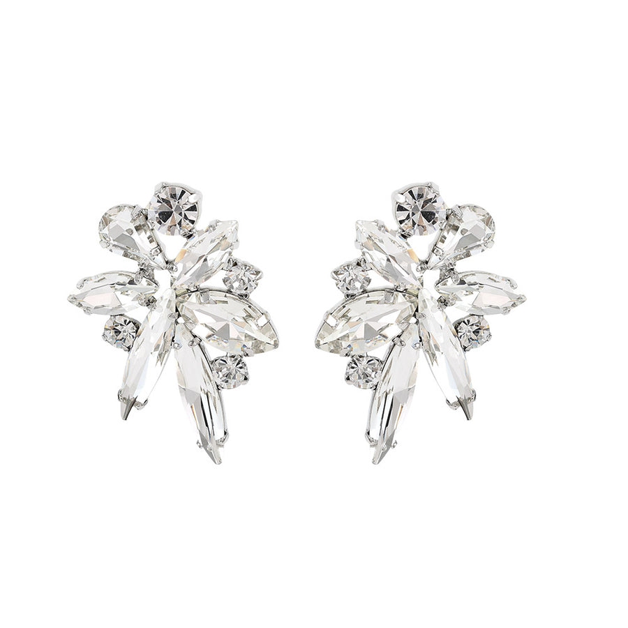 Amani Clear Crystal Earrings