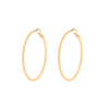 Classic Gold Hoops