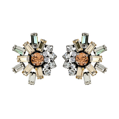 Olivia Crystal & Golden Shadow Earrings