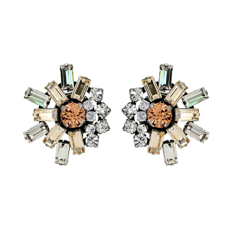 Olivia Crystal & Golden Shadow Earrings