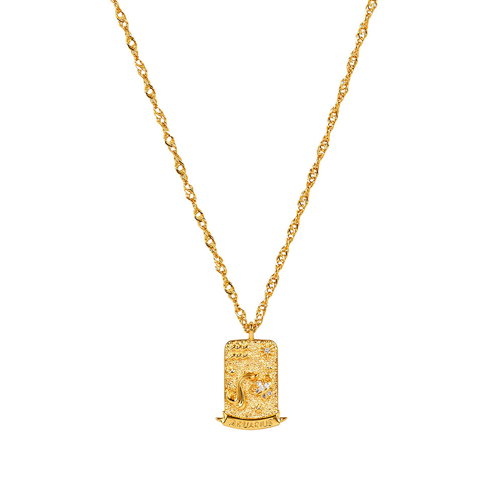 The Pink Box Zodiac Necklace - Aquarius