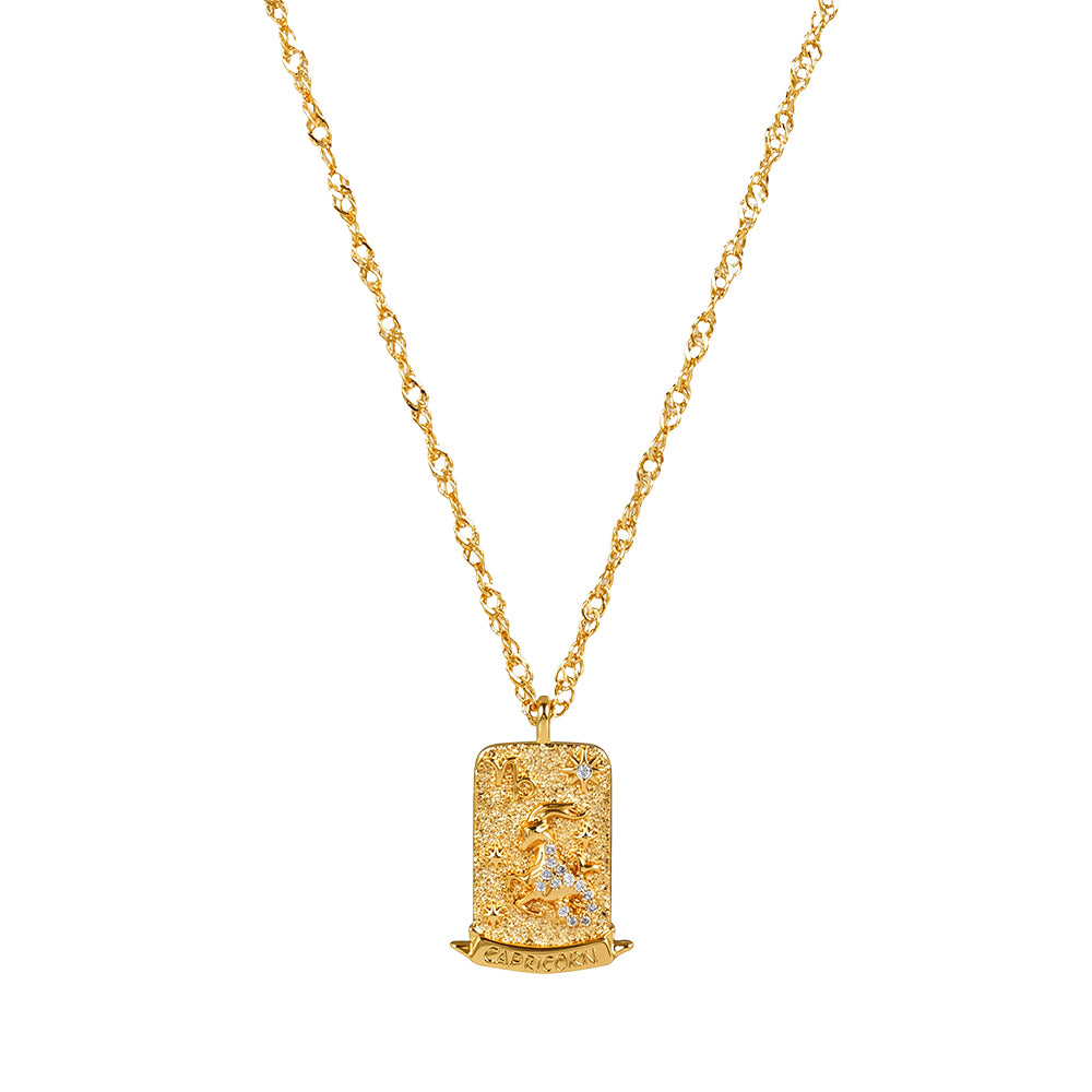 The Pink Box Zodiac Necklace - Capricorn