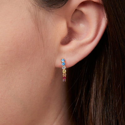 Multi Colour Earrings