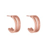 Danielle Rose Gold Earrings