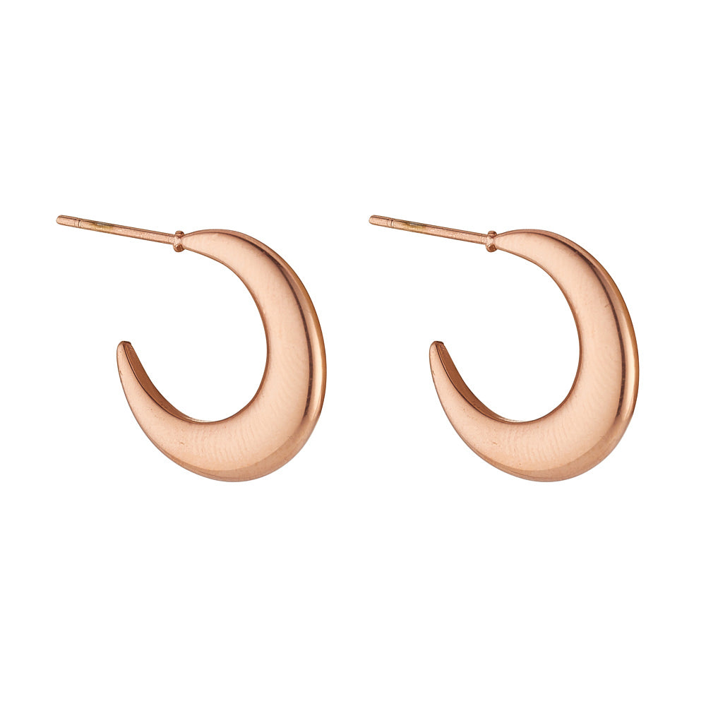 Rose gold deals plated hoops