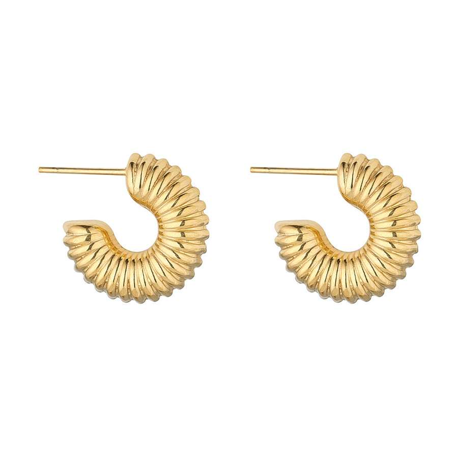 Abigail Chunky Hoops