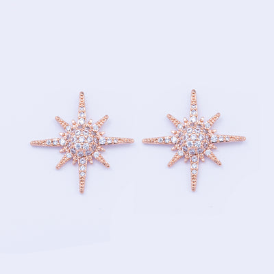 Sparking Star Earrings