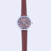 Classic Silver & Brown Watch