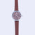 Classic Silver & Brown Watch